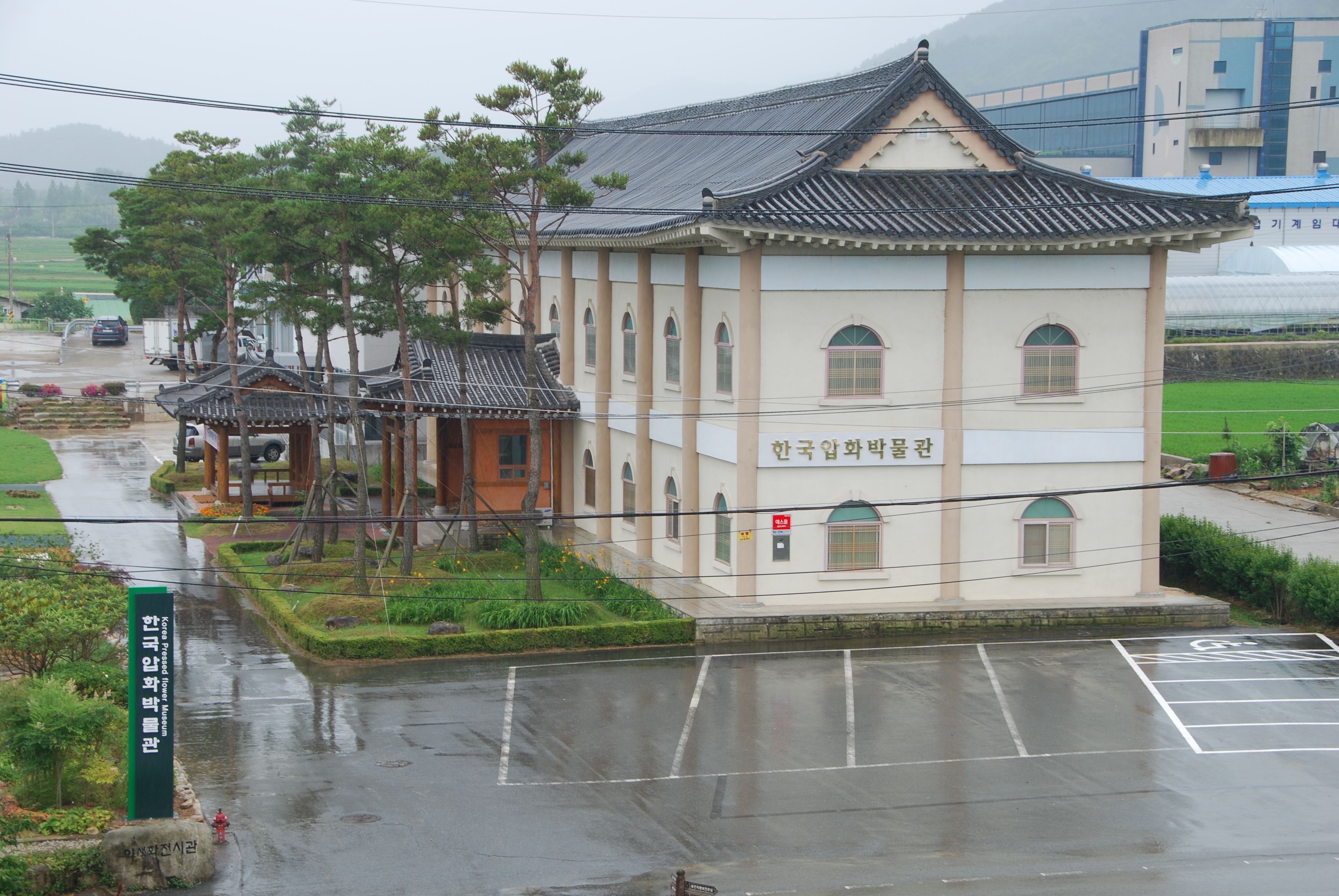 한국압화박물관앞 체…