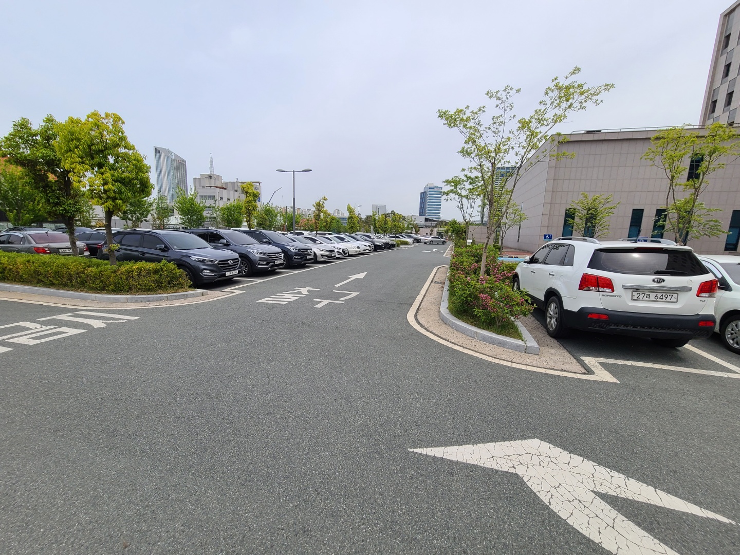 한국농촌경제연구원 후면 주차장 3