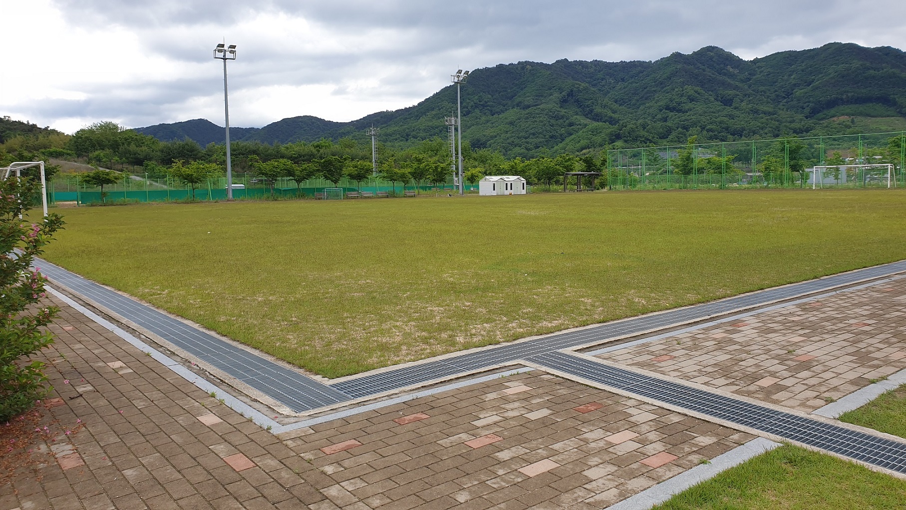 농림축산검역본부 축구장 1